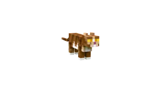 猫·十