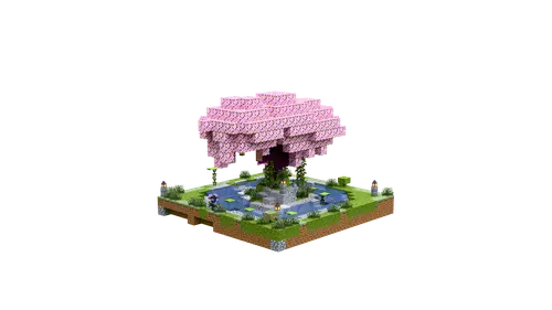 樱花池塘